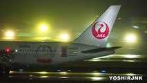 小松空港にドラえもんがやってきた Draemon Jet JAL (JAPAN AIRLINES) Boeing 767-346ER JA622J