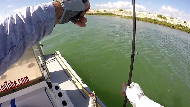 Fishing Grass Lines and Grass Patches For Speckled Trout