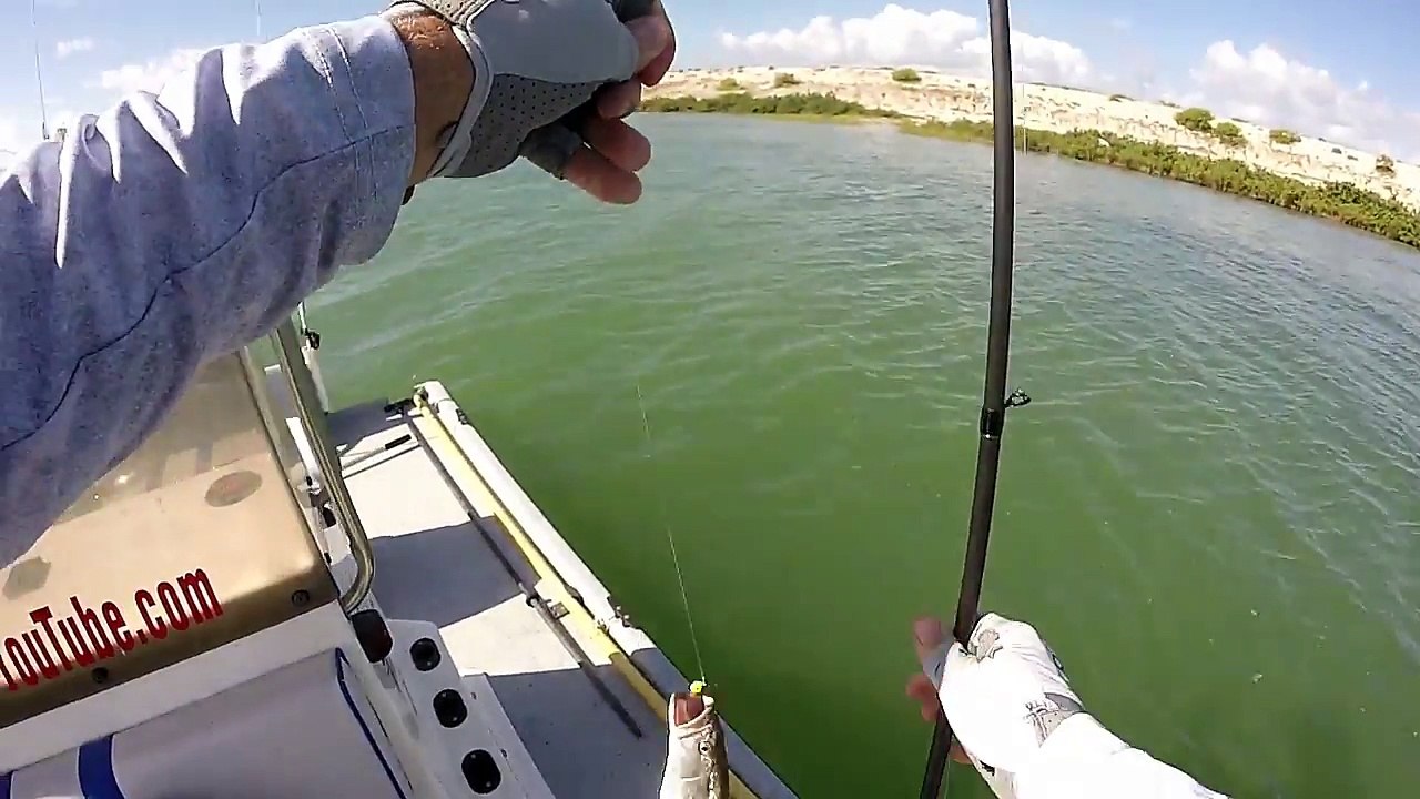 Fishing Grass Lines and Grass Patches For Speckled Trout
