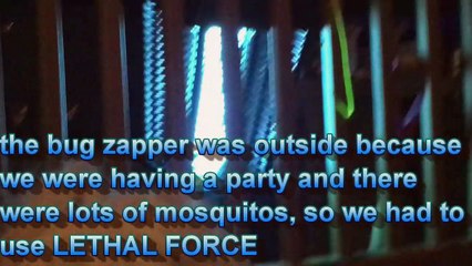 Casper and the bug zapper