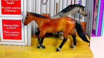 Breyer Horse new Mystery Surprise Foal Stablemates Mare Stallion Set Unboxing Horse Toy R