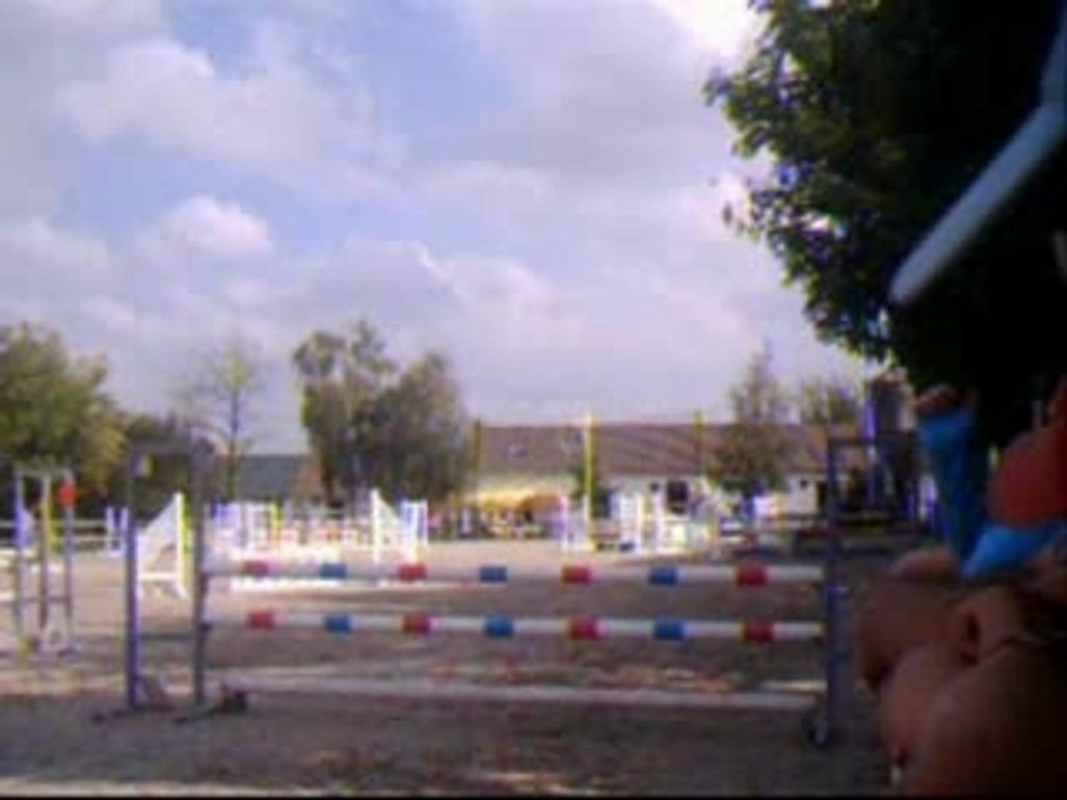 cheval vidéo