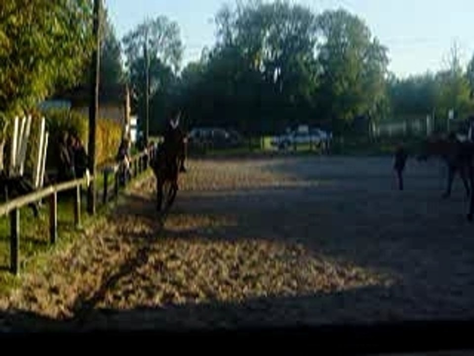 GALOP MEMPHIS - MATHY