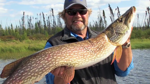 Babe Winkelman's Global Vision Sunglasses 2017