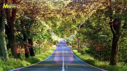 Fastball - The Way (All Time Best Hits Forever HD) Mu©o