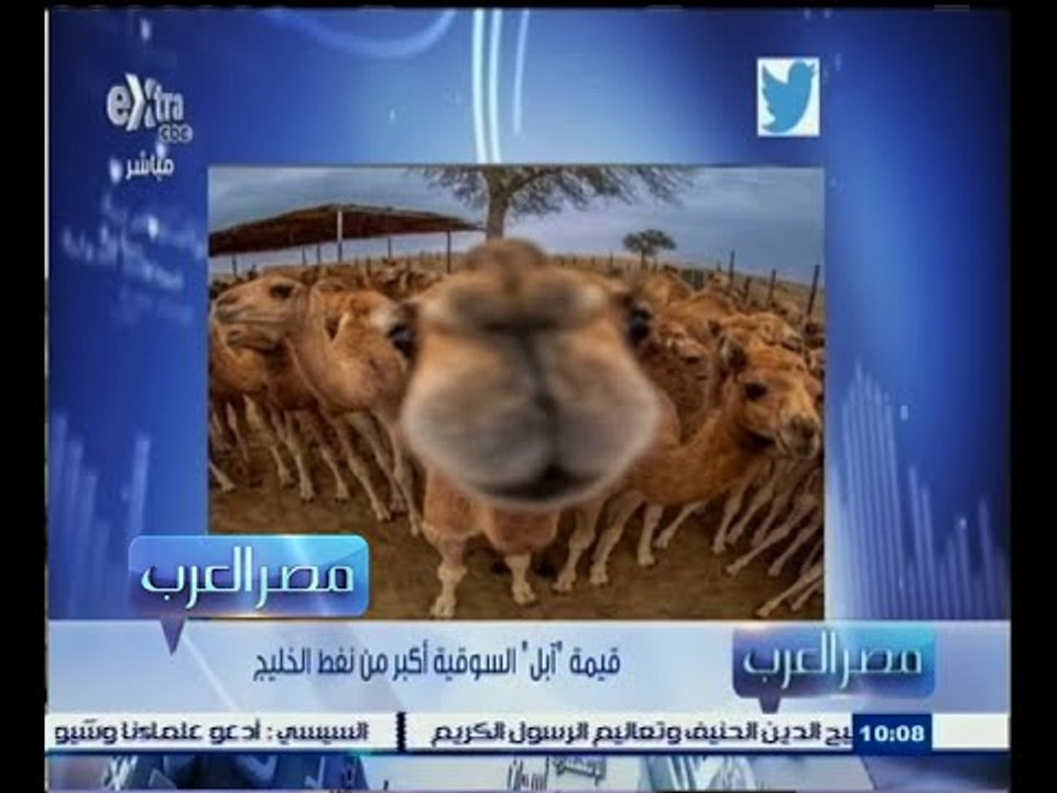 #مصر‪_‬العرب | ‎‎قيمة ‫"‬آبل‫"‬ السوقية أكبر من...