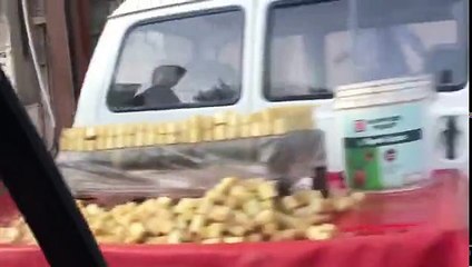 City Tour of Lahore Pakistan by a Female Tourist - Tune.pk