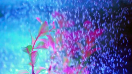 DUK 1주 [낙태가능한병원 wwee338899@gmail.com~메일로 문의하세요.] 낙태비용