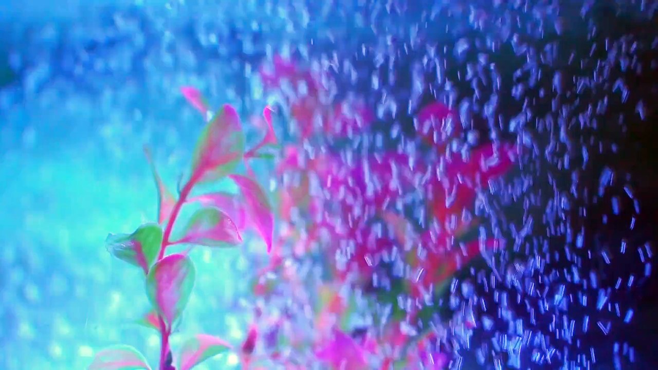 DUK 1주 [낙태가능한병원 wwee338899@gmail.com~메일로 문의하세요.] 낙태비용
