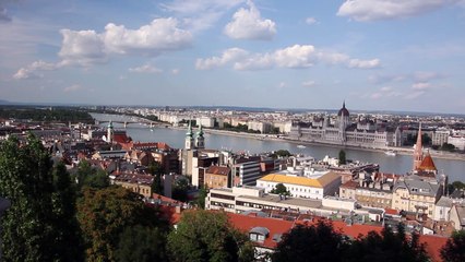 WFT 1주 [임신중절가능한병원 wwee338899@gmail.com~메일로 문의하세요.]