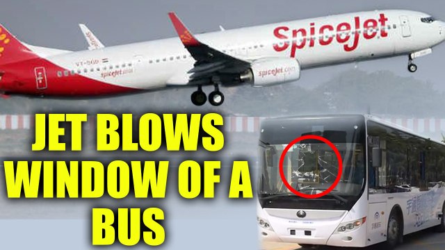 Spicejet flight blows IndiGo bus's window at Delhi airport, 5 injured | Oneindia News