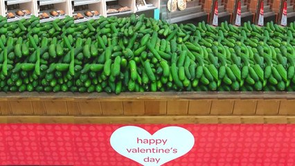 One Job Fails - Funny Compilation