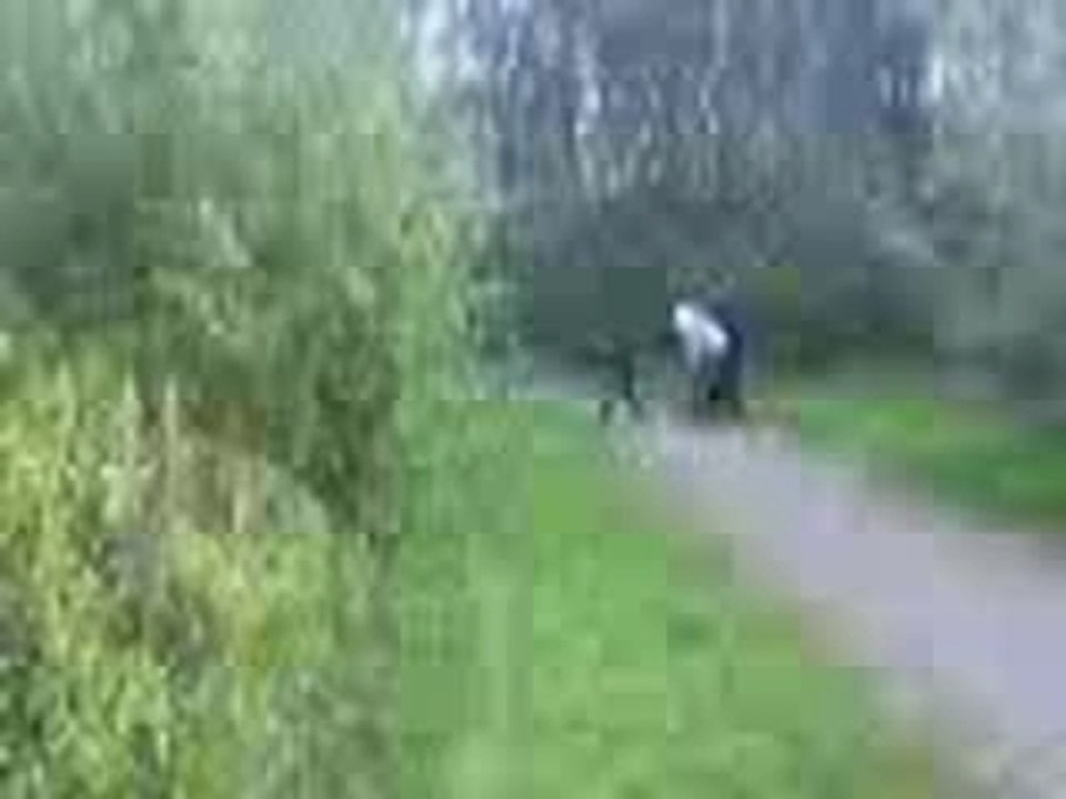 nitraat en een deobus part 2
