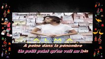 Alma - La chute est lente KARAOKE / INSTRUMENTAL
