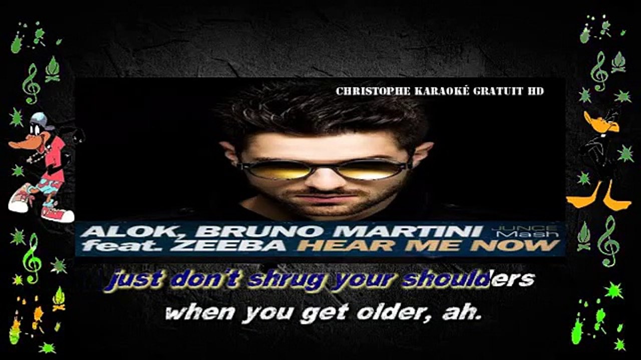 Alok, Bruno Martini feat. Zeeba - Hear me now KARAOKE / INSTRUMENTAL