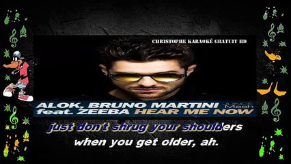 Alok, Bruno Martini feat. Zeeba - Hear me now KARAOKE / INSTRUMENTAL