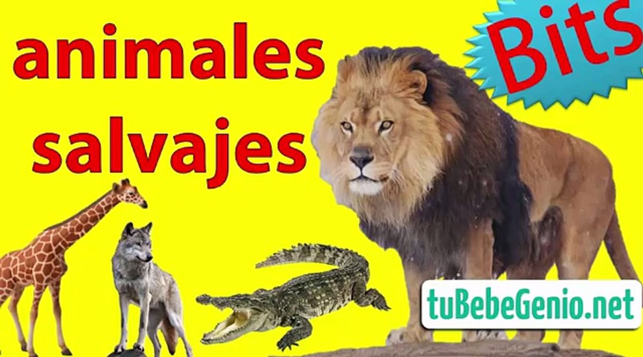 nombres y sonidos de animales salvajes para niños de infantil. Caricaturas y fotos.