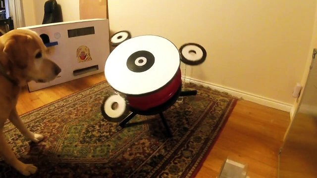 Un fidget Spinner géant pour chien ! Ah non il aime pas !!