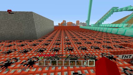 Un chien dans les tnt