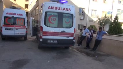 Dut Ağaçları Taşlı Sopalı Kavgaya Sebep Oldu: 2 Yaralı