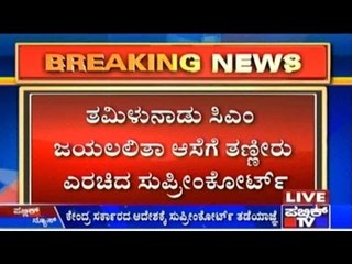 SC Says Jallikattu Will Not be Held This Year