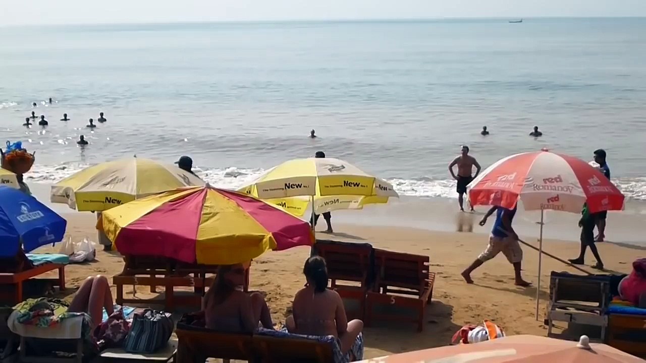 Turistas vaca india