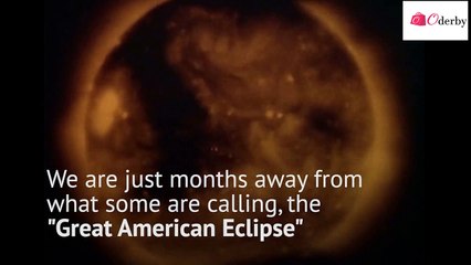 Solar Eclipse Glasses