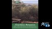Giardino botanico, brouchure e cartoline dedicate all'oasi  verde nel cuore di Agrigento NewsAgtv