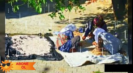 En iyi Kürtçe müzik şarkı 2017harikaa