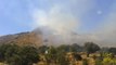 Bodrum'da Makilik ve Otluk Alanda Yangın