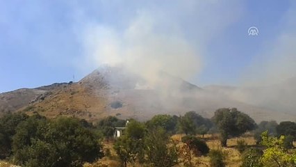 Bodrum'da Makilik ve Otluk Alanda Yangın