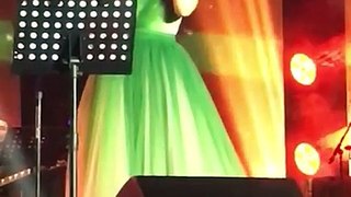 شيرين تغني بحبك يا لبنان خلال حفل ضبيه