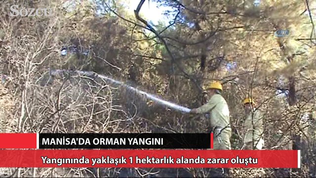 Manisa’da orman yangını