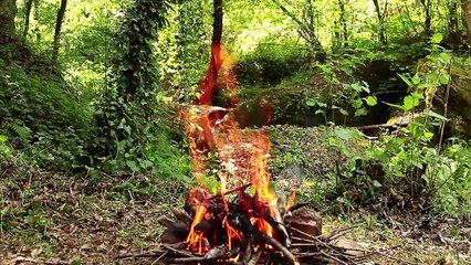 FALL OF THE BONE CHICKEN! - feat. Ramsay the Owl