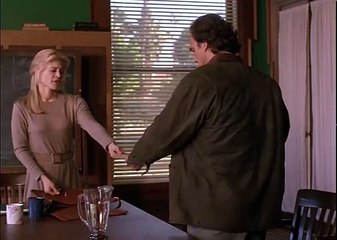 Separate Lives 1995 Thriller (Linda Hamilton+James Belushi)