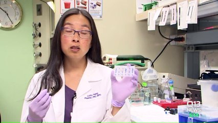 Scientists to Launch Kidney Cells Into Space to Accelerate Research