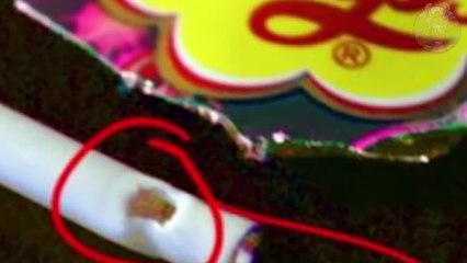 6 CHOSES DONT VOUS NE CONNAISSIEZ PAS L'UTILITÉ - Lama Faché