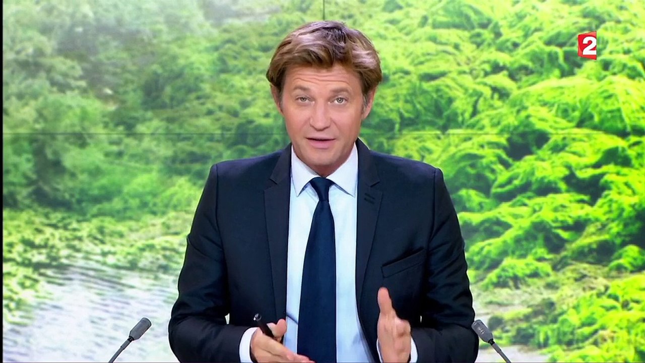 Côtes bretonnes: le retour des algues vertes