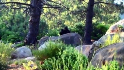 10 PHÉNOMÈNES QUE LA SCIENCE NE PEUT PAS EXPLIQUER - Lama Faché