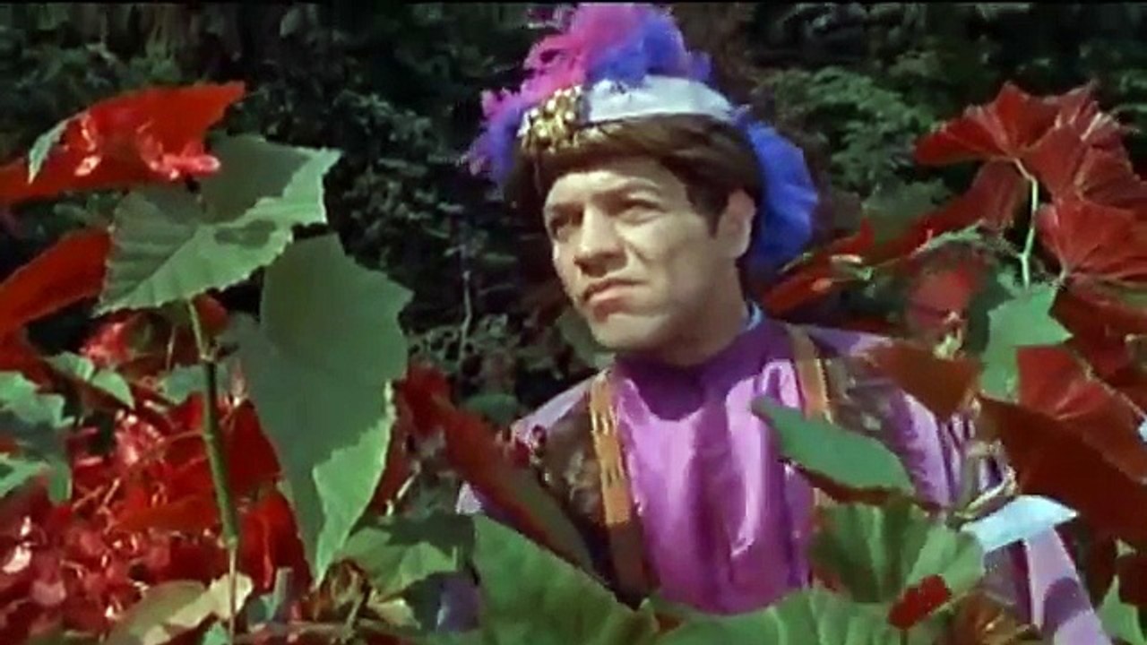 The Trygon Factor