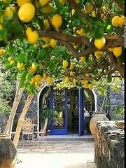 Isla de Capri Italia