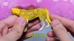 Toy Wild Animals 3D Puzzles Collection Zebra Hippo Giraffe Cheetah │ Zoo Animals Fun Fs