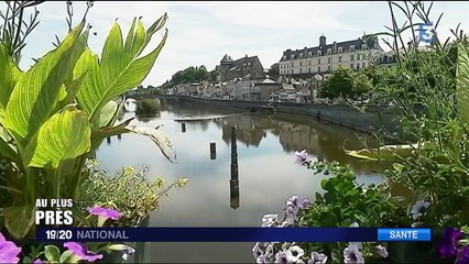 Au plus près : au cœur des urgences hospitalières