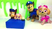 Colores núcleos de Aprender patrulla pata sorpresa juguete Aprender patrulla canina portugués inglés gel