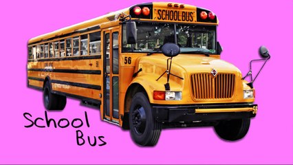 Street Vehicles for Kids - Cars and Trucks - Learn Names and Sound - Educational Video