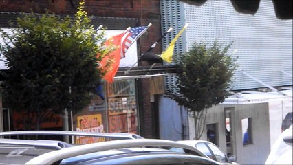 DJ Blazin - Did You Get My Message (Official Music Video) (@ponjoenation)