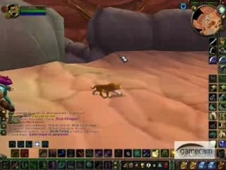 Wow druide pvp oibaf 2