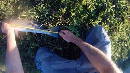 Catch And Cook, Redfish In Black Pepper Lemon Sauce