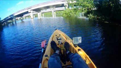 Yak Fishing Ruddock After Too Much Rain With FishxScale