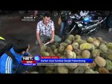 Durian Padang Serbu Kota Palembang - NET12